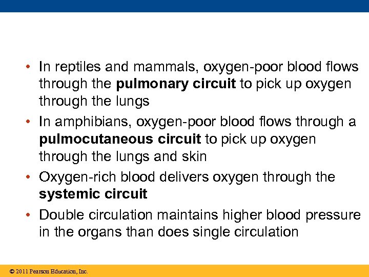  • In reptiles and mammals, oxygen-poor blood flows through the pulmonary circuit to