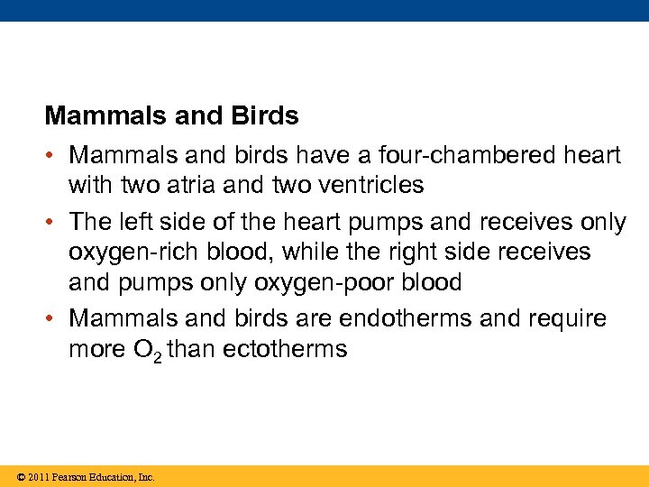 Mammals and Birds • Mammals and birds have a four-chambered heart with two atria