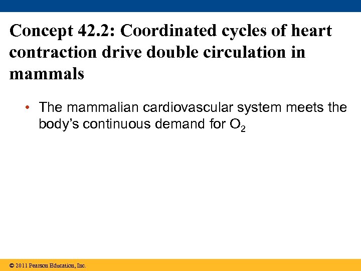 Concept 42. 2: Coordinated cycles of heart contraction drive double circulation in mammals •