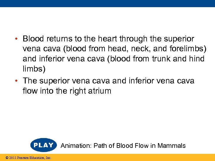  • Blood returns to the heart through the superior vena cava (blood from