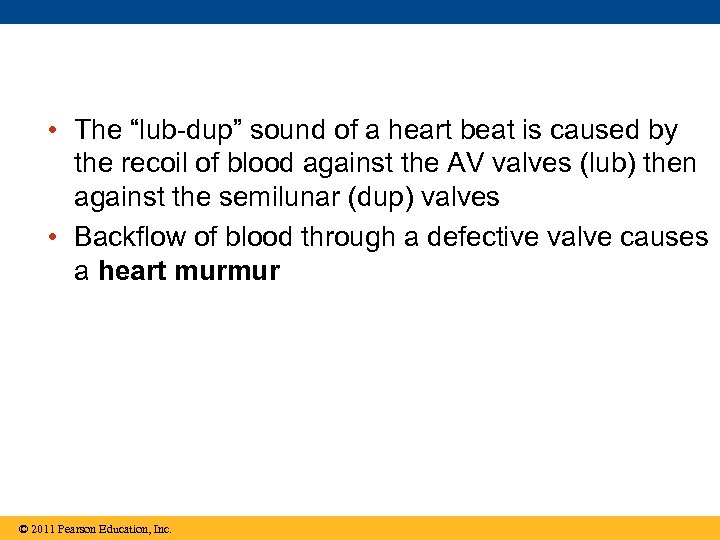  • The “lub-dup” sound of a heart beat is caused by the recoil