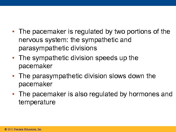  • The pacemaker is regulated by two portions of the nervous system: the