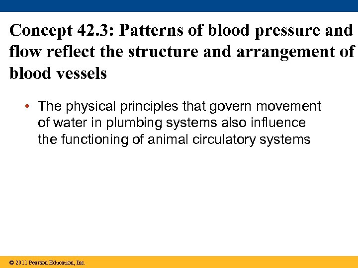 Concept 42. 3: Patterns of blood pressure and flow reflect the structure and arrangement