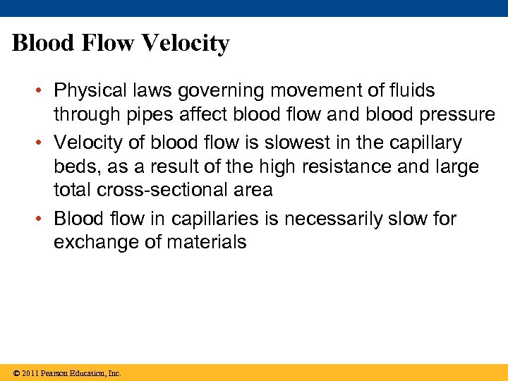 Blood Flow Velocity • Physical laws governing movement of fluids through pipes affect blood