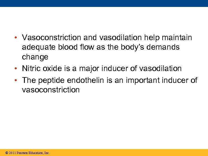  • Vasoconstriction and vasodilation help maintain adequate blood flow as the body’s demands