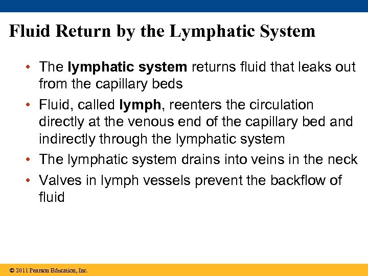 Fluid Return by the Lymphatic System • The lymphatic system returns fluid that leaks