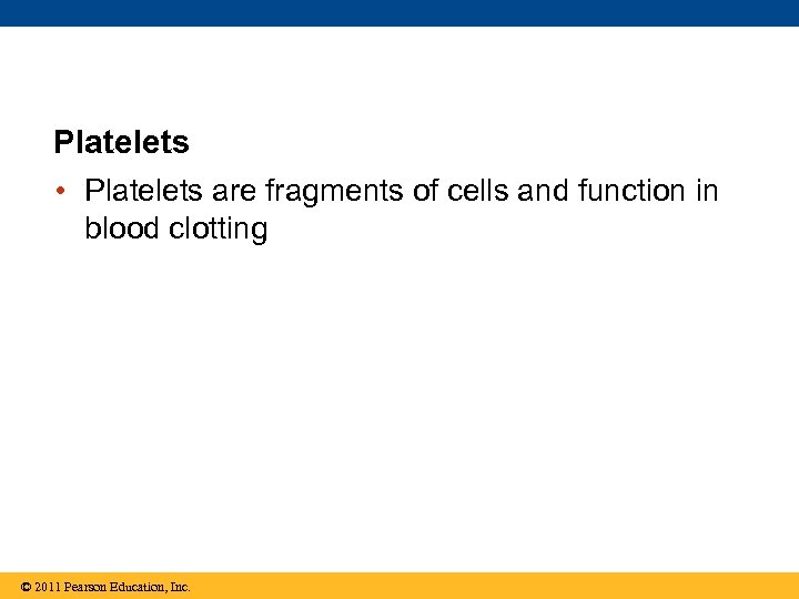 Platelets • Platelets are fragments of cells and function in blood clotting © 2011