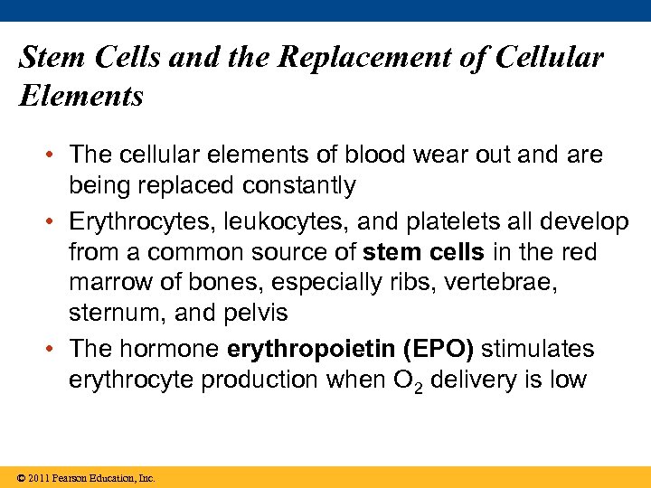 Stem Cells and the Replacement of Cellular Elements • The cellular elements of blood