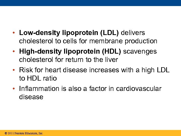  • Low-density lipoprotein (LDL) delivers cholesterol to cells for membrane production • High-density