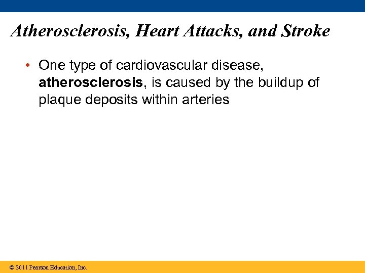 Atherosclerosis, Heart Attacks, and Stroke • One type of cardiovascular disease, atherosclerosis, is caused