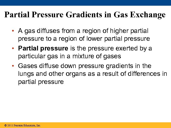 Partial Pressure Gradients in Gas Exchange • A gas diffuses from a region of