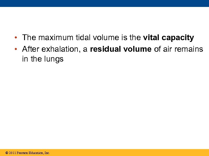  • The maximum tidal volume is the vital capacity • After exhalation, a