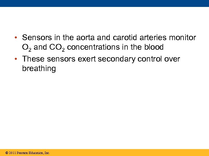  • Sensors in the aorta and carotid arteries monitor O 2 and CO