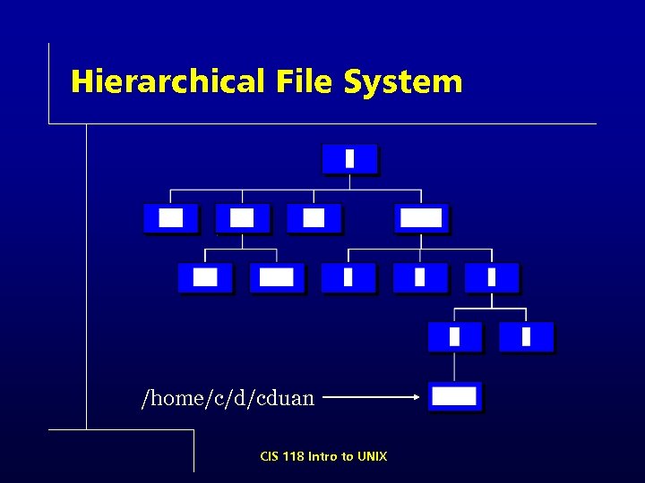 Hierarchical File System /home/c/d/cduan CIS 118 Intro to UNIX 