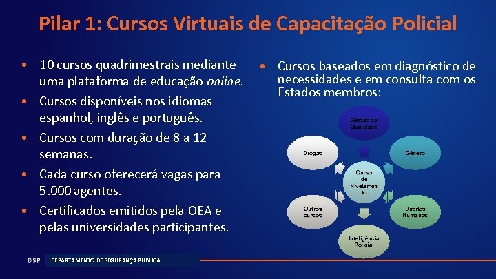 Pilar 1: Cursos Virtuais de Capacitação Policial • 10 cursos quadrimestrais mediante uma plataforma