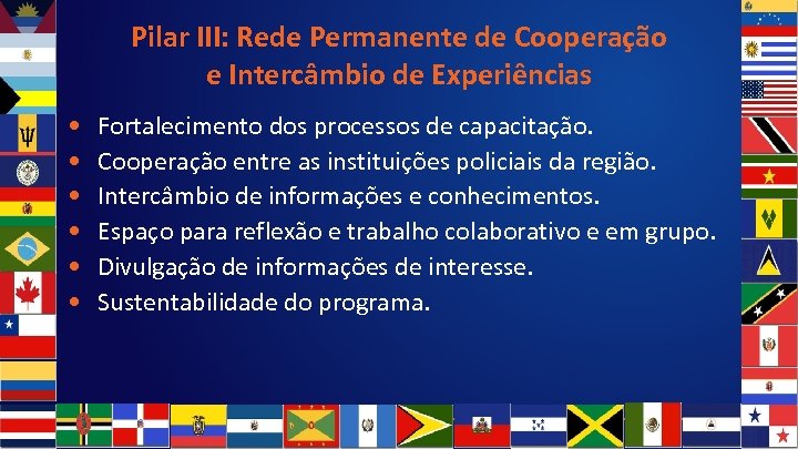 Pilar III: Rede Permanente de Cooperação e Intercâmbio de Experiências • • • Fortalecimento