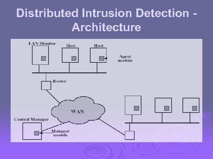 Distributed Intrusion Detection Architecture 