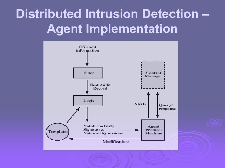 Distributed Intrusion Detection – Agent Implementation 