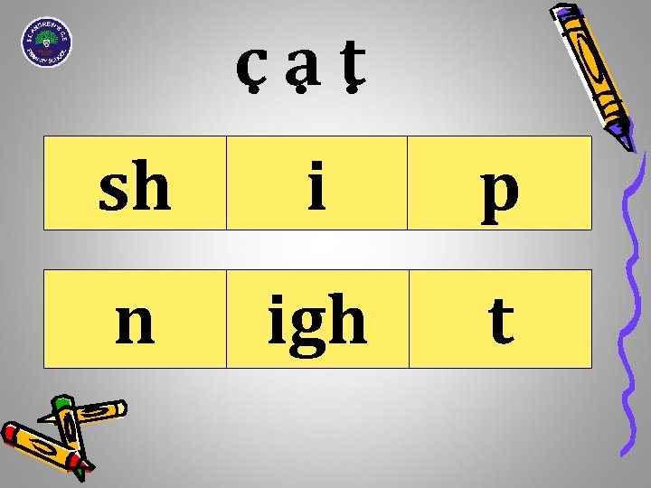 cat sh i p n igh t 