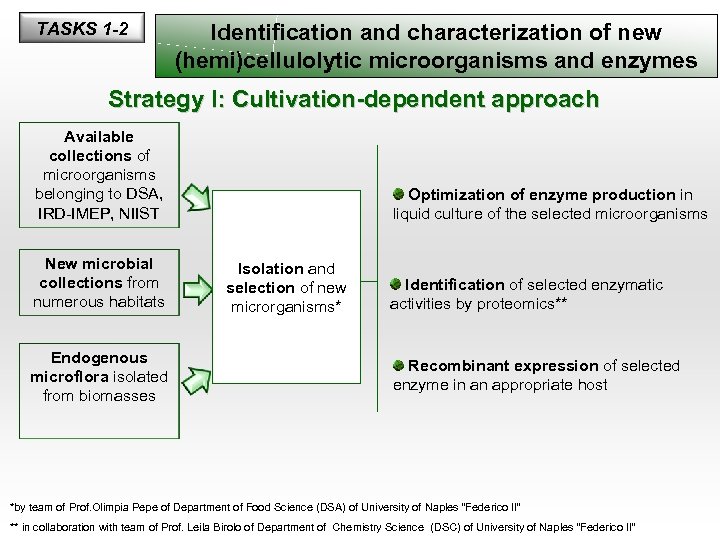 TASKS 1 -2 Identification and characterization of new (hemi)cellulolytic microorganisms and enzymes Strategy I: