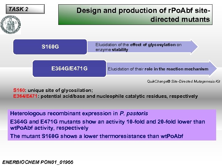 TASK 2 Design and production of r. Po. Abf sitedirected mutants S 160 G