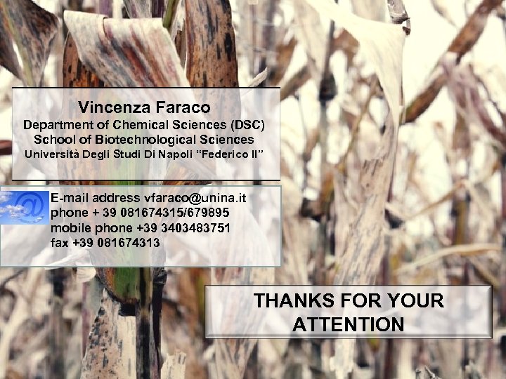 Vincenza Faraco Department of Chemical Sciences (DSC) School of Biotechnological Sciences Università Degli Studi