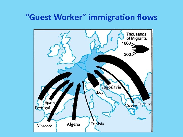 “Guest Worker” immigration flows 