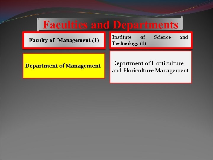 Faculties and Departments Faculty of Management (1) Department of Management Institute of Technology (1)