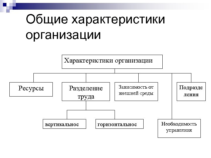 Общие характеристики организации Характеристики организации Ресурсы Разделение труда вертикальное Зависимость от внешней среды горизонтальное