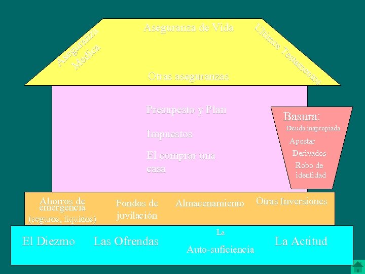 a nz a ur ica g se ed A M Aseguranza de Vida Otras