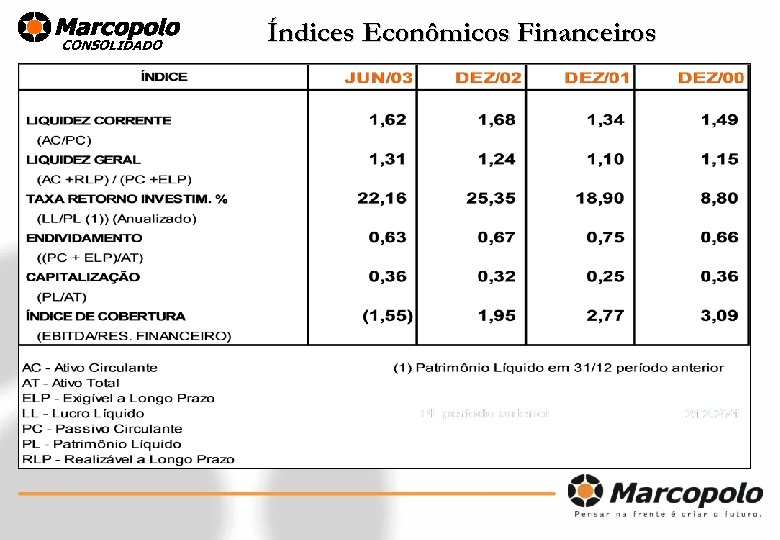 CONSOLIDADO Índices Econômicos Financeiros 