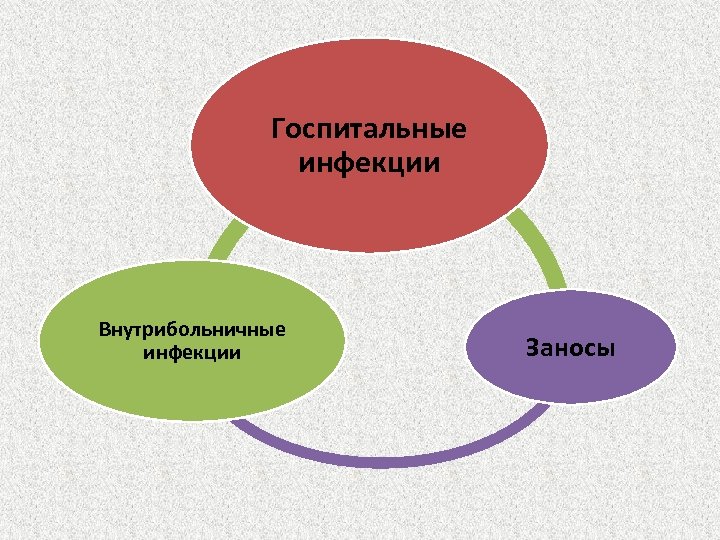 Госпитальные инфекции Внутрибольничные инфекции Заносы 