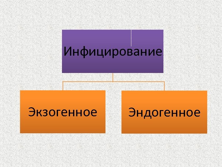Инфицирование Экзогенное Эндогенное 