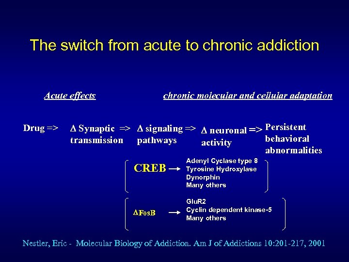 The switch from acute to chronic addiction Acute effects Drug => chronic molecular and
