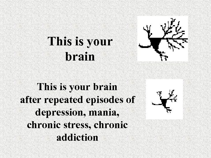 This is your brain after repeated episodes of depression, mania, chronic stress, chronic addiction