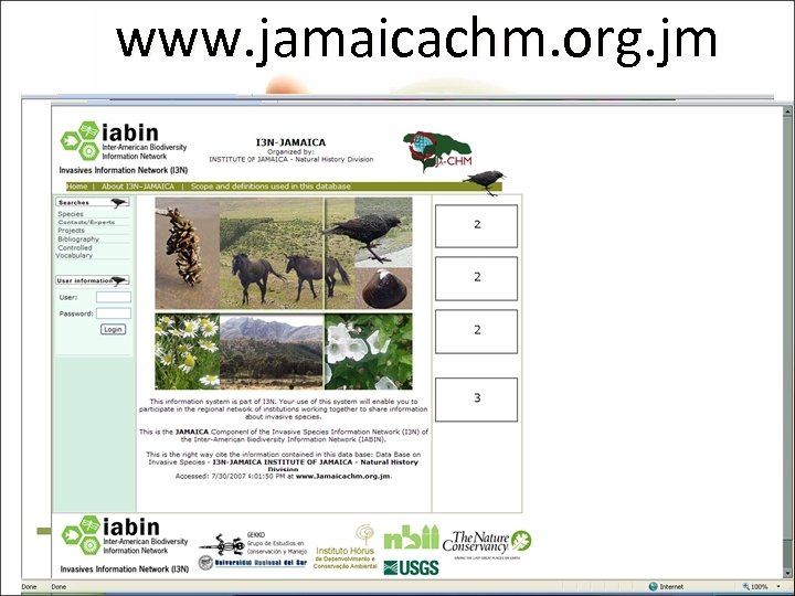 www. jamaicachm. org. jm 