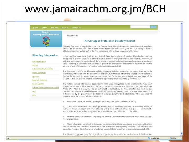www. jamaicachm. org. jm/BCH 