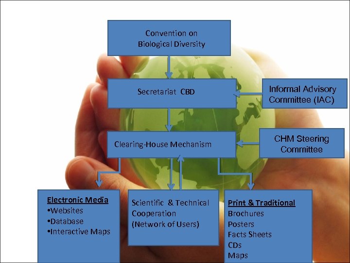 Convention on Biological Diversity Secretariat CBD Clearing-House Mechanism Electronic Media • Websites • Database