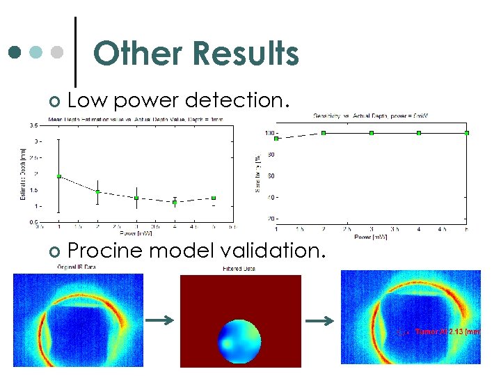 Other Results ¢ Low power detection. ¢ Procine model validation. 