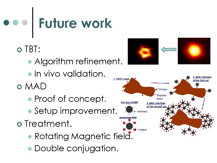 Future work ¢ TBT: Algorithm refinement. l In vivo validation. l ¢ MAD Proof