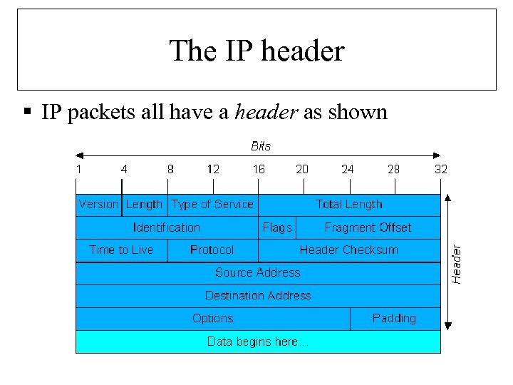 The IP header § IP packets all have a header as shown 