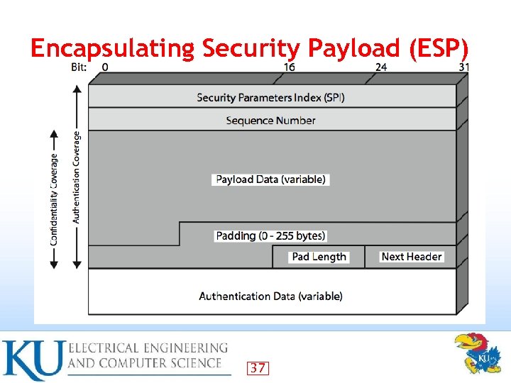 Encapsulating Security Payload (ESP) 37 