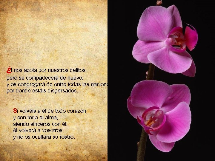 Él nos azota por nuestros delitos, pero se compadecerá de nuevo, y os congregará