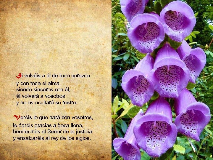 Si volvéis a él de todo corazón y con toda el alma, siendo sinceros