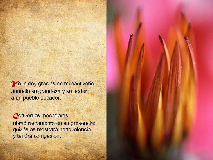 Yo le doy gracias en mi cautiverio, anuncio su grandeza y su poder a