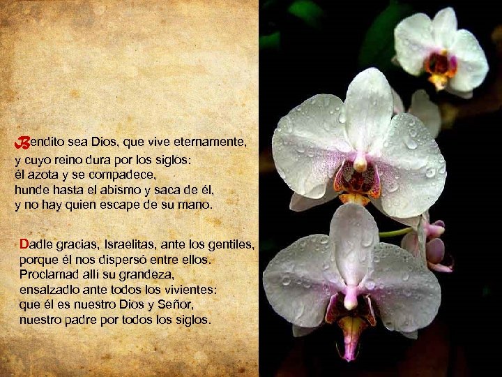 Bendito sea Dios, que vive eternamente, y cuyo reino dura por los siglos: él