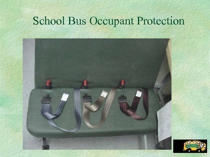 School Bus Occupant Protection 