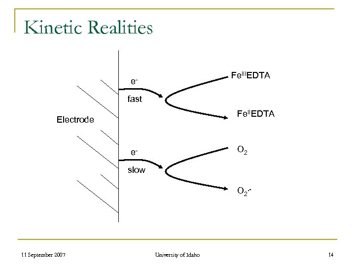 Kinetic Realities Fe. IIIEDTA efast Fe. IIEDTA Electrode O 2 eslow O 2. -