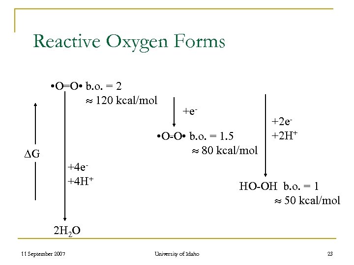 Reactive Oxygen Forms • O=O • b. o. = 2 120 kcal/mol +e- •