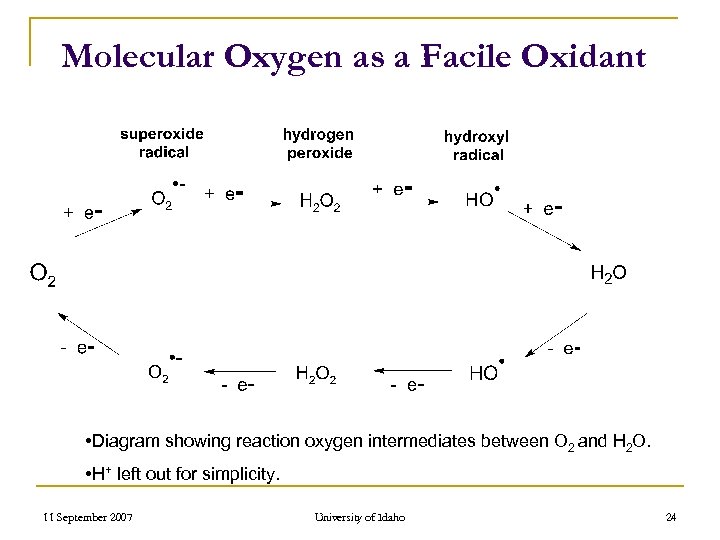 Molecular Oxygen as a Facile Oxidant • Diagram showing reaction oxygen intermediates between O